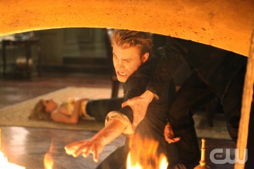 TVD (3)