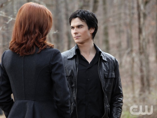 TVD (8)