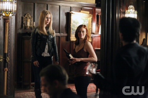 TVD (9)