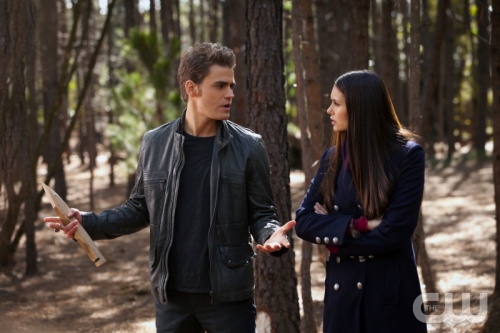 TVD (12)